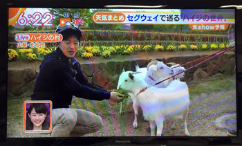 グッドモーニング2