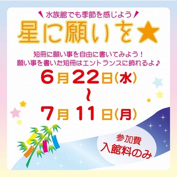 星に願いを★