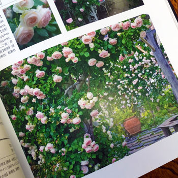 ピエールドロンサール