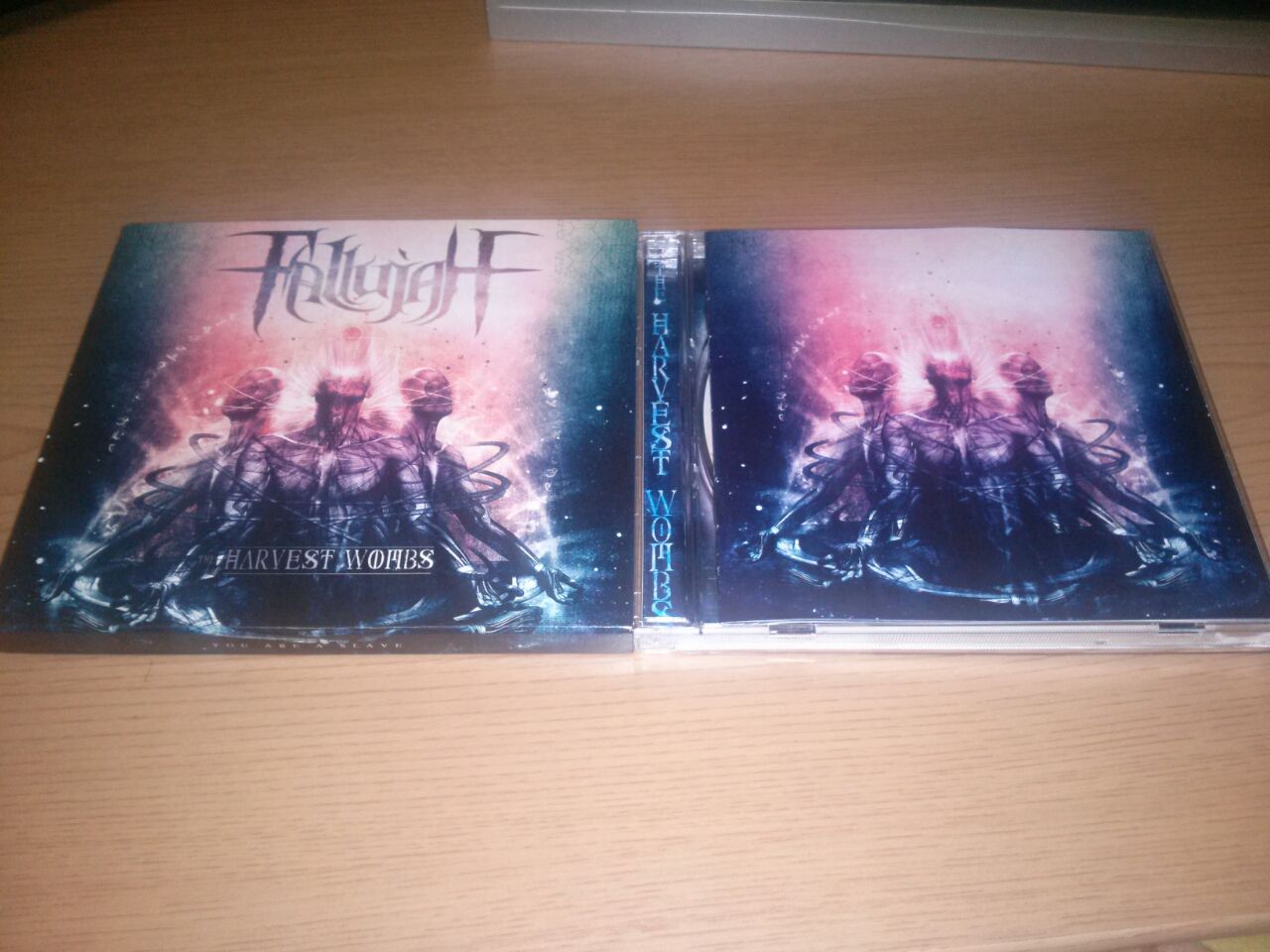 Fallujah The Harvest Wombs 12 惰眠を貪る Fallujah The Harvest Wombs 12 惰眠を貪る