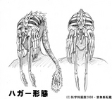 ハガーデザイン01