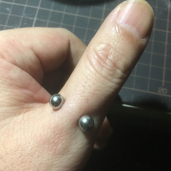 蛇といちごとスズメバチ Piercing