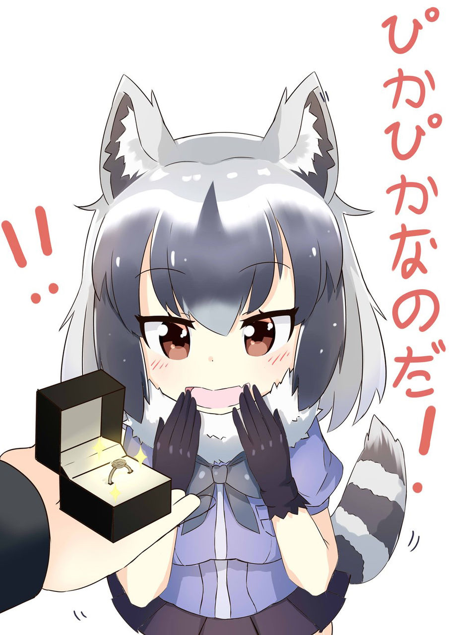 命の値段 サーバルちゃん128万円 フェネック75万円 アライさん3000円 つー速 命の値段 サーバルちゃん128万円 フェネック75万円 アライさん3000円 つー速