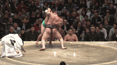 悲報 横綱白鵬 またダメ押しを決める つー速