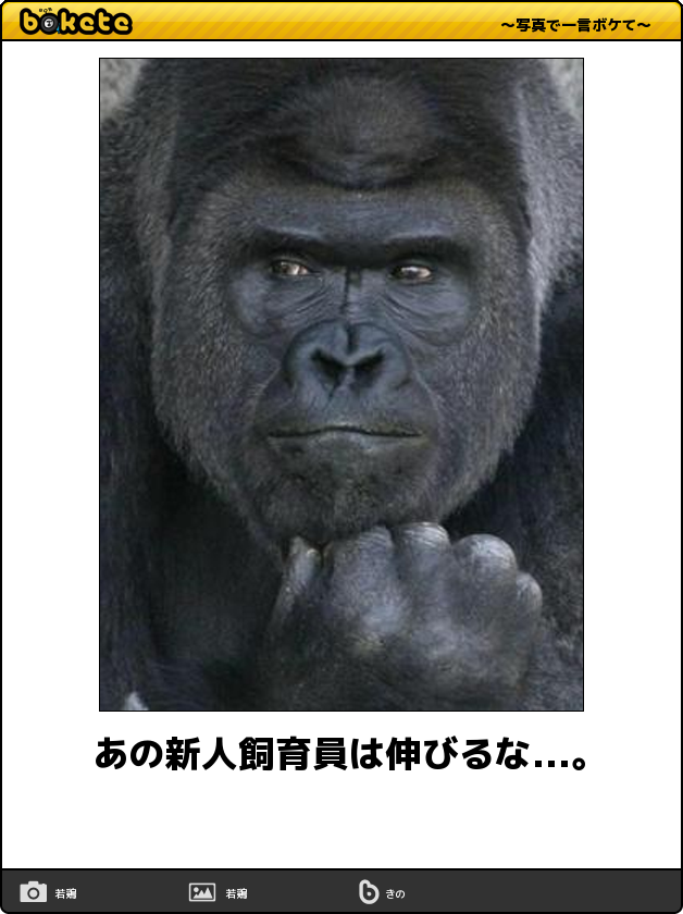 画像あり Boketeで笑ったら三連休没収 つー速