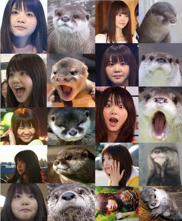 画像あり いきものがかり吉岡 志村どうぶつ園sp でカワウソとの初共演に大喜び つー速