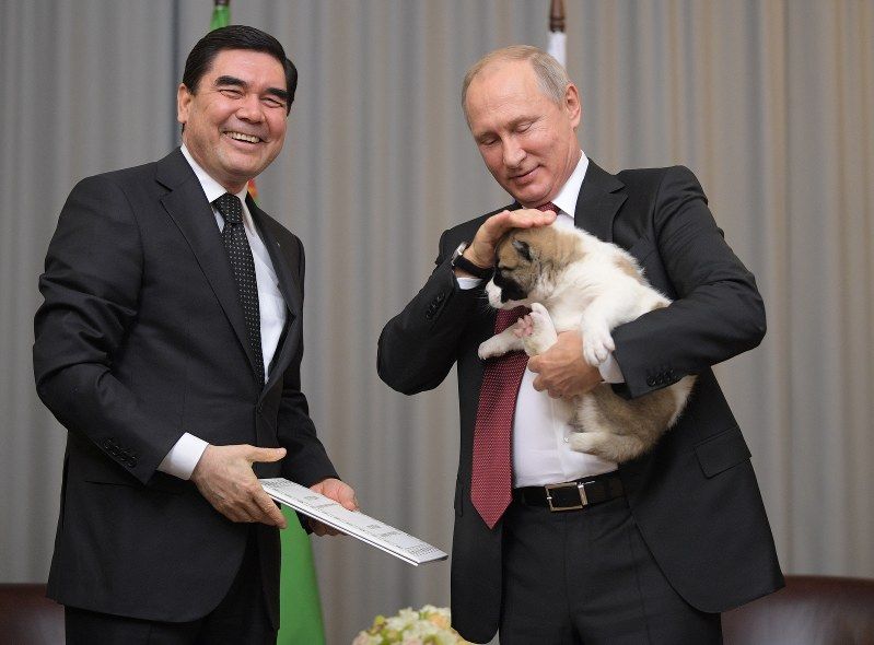 朗報 プーチン大統領 またも犬をプレゼントされ喜ぶ つー速 朗報 プーチン大統領 またも犬をプレゼントされ喜ぶ つー速
