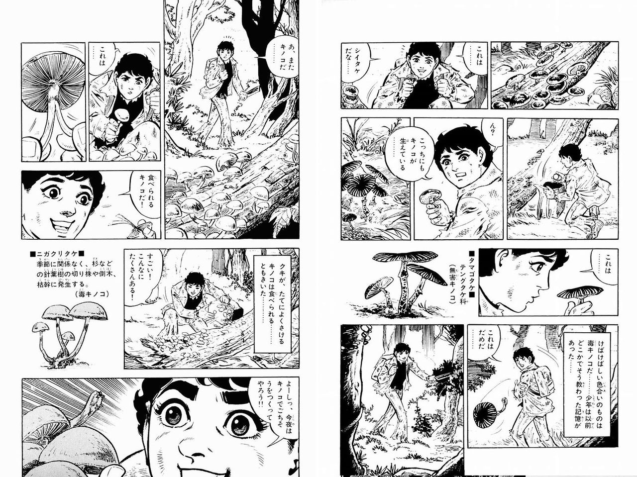 閲覧注意 彡 お 縦に裂けるから食えるキノコやな つー速