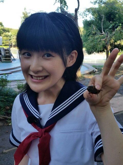 閲覧注意 なぜ大人になると虫が触れなくなるのか つー速