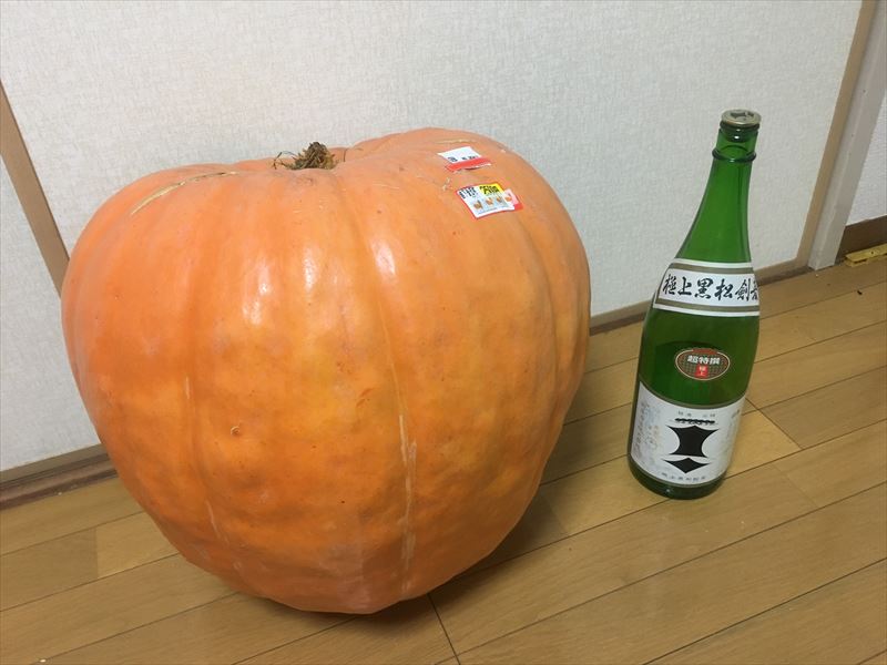 ヘイズ 謝肉祭ナイト ハロウィンで空騒ぎの後 待ちぼうけ キルロイの徒然シーシャ A ブログ