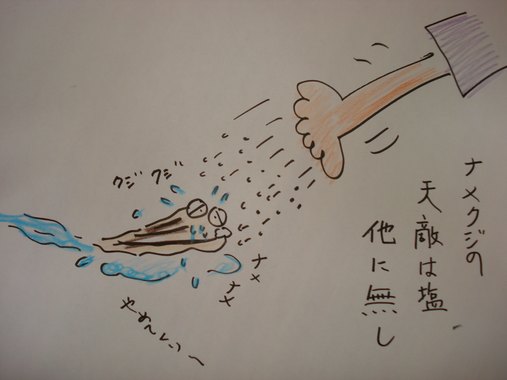 ナメクジの 天敵は塩 他に無し 絵で読む川柳