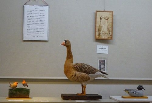 「野鳥に親しむ・バードカービング作品展2016」新宿御苑インフォメーションセンターのアートギャラリー