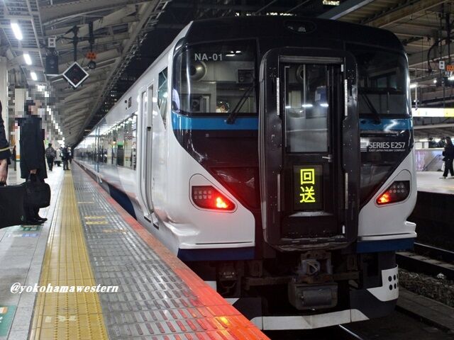 E257系特急｢湘南｣に乗る : 横浜西部急行の備忘録2(きまぐれ鉄道日記帳N)