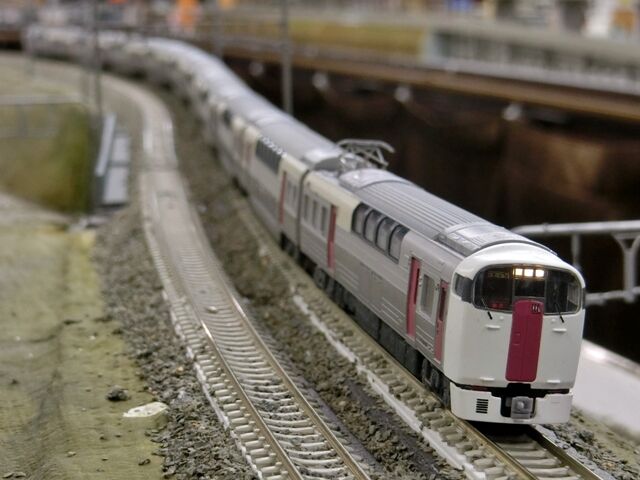 マイクロエース改 215系2次車「ホリデー快速ビューやまなし マイクロエース改 215系2次車「ホリデー快速ビューやまなし