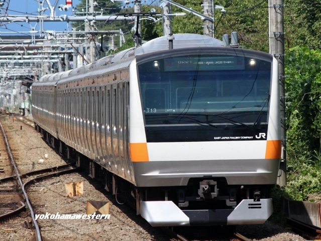 E233系0番台｢青編成｣を撮る!(秋のJR撮影2017-3) : 横浜西部急行の