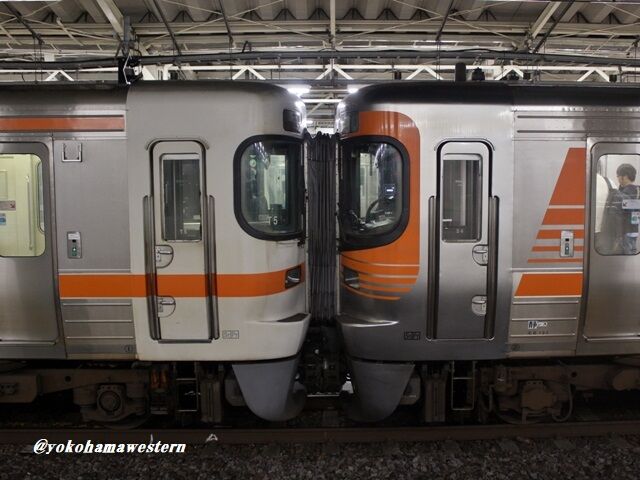 静岡巡見之旅2023(其の肆:Very gorgeous train!) : 横浜西部急行の