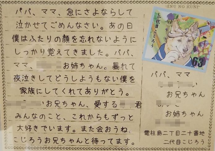 天国の2代目こじろうから手紙が来た ピタワン犬の国 野犬だったこじろう