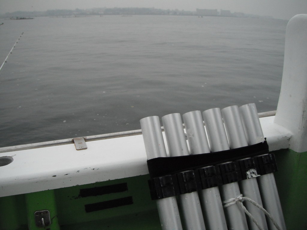 気ままなおさかな釣り日記