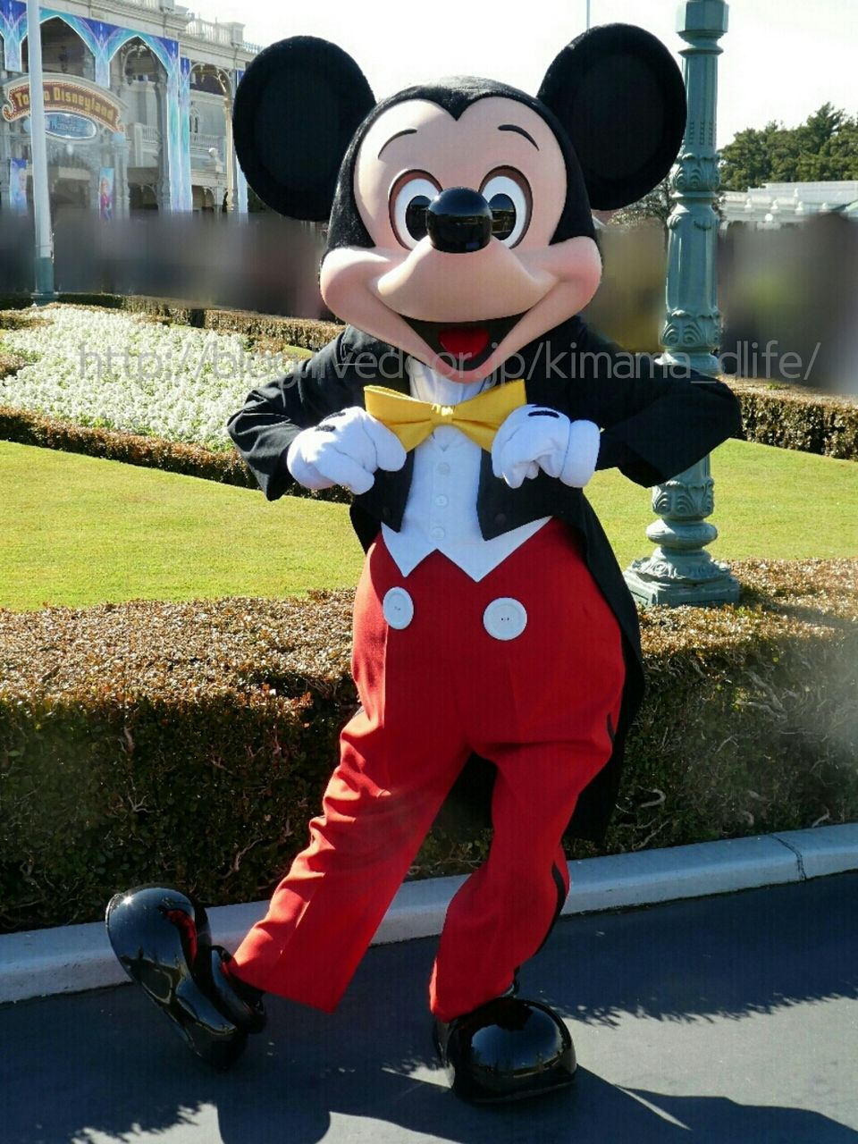 エントランスでお願いしたワンショット 気ままにディズニー生活