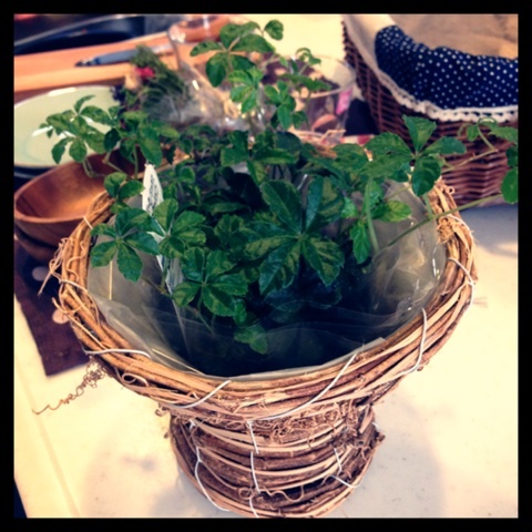 photo:01