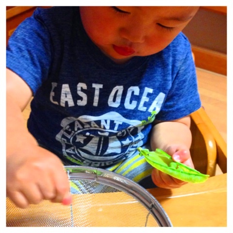 photo:05