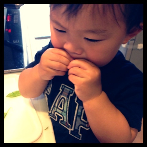 photo:06