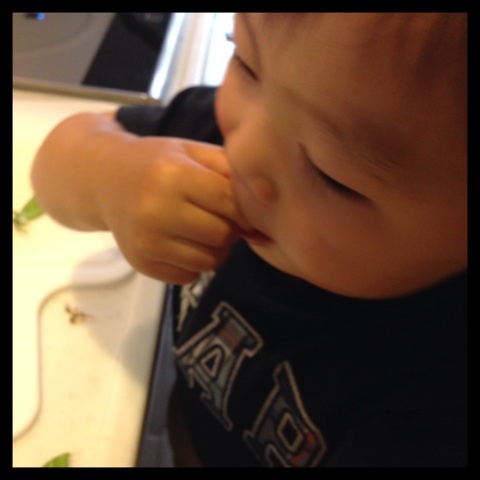 photo:09