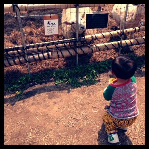 photo:02