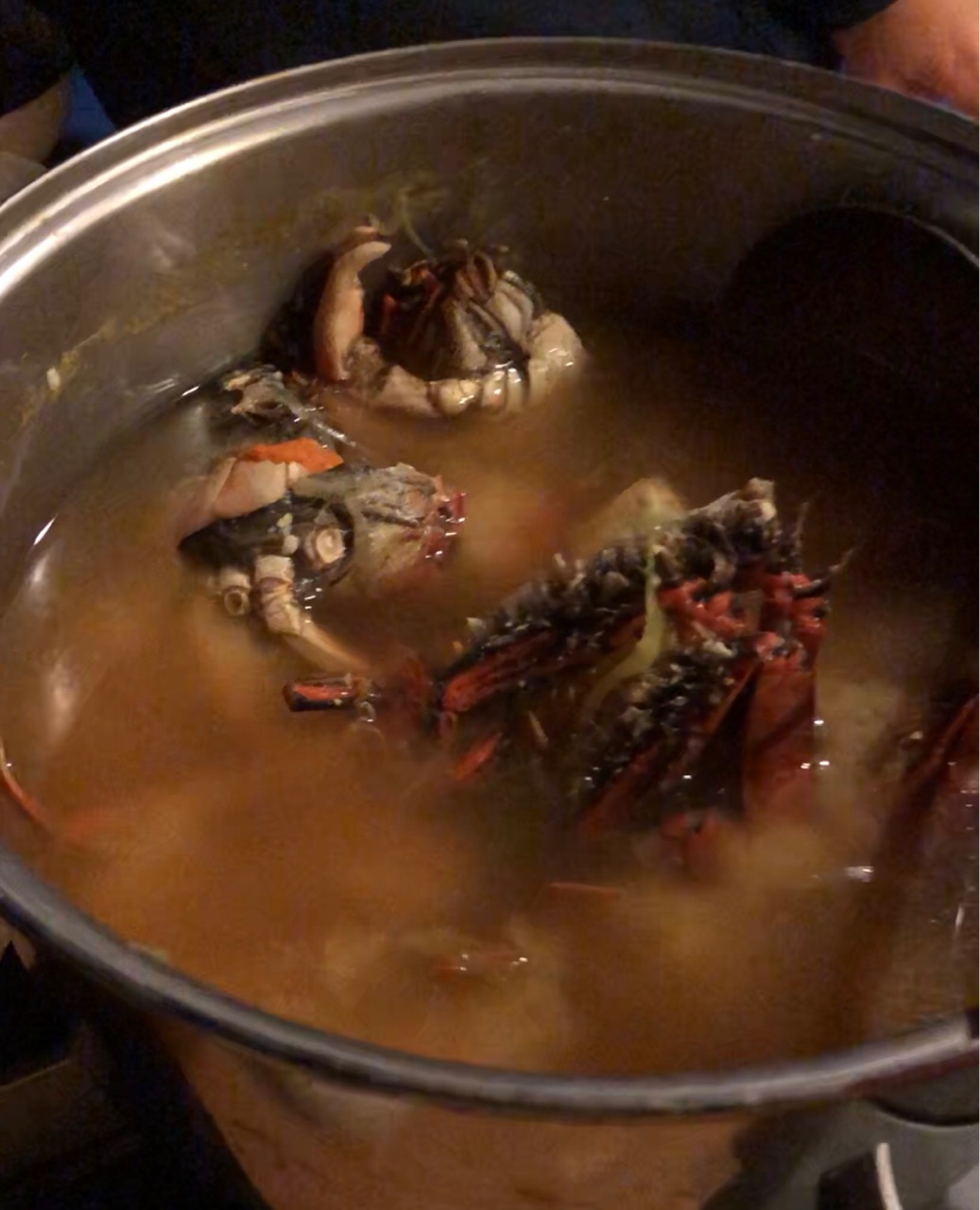 5分副菜 栄養満点の豆苗でごまマヨ和え と 命をいただくという食育 ちゃんちー家の気ままな日々とおうちごはん Powered By ライブドアブログ 5分副菜 栄養満点の豆苗でごまマヨ和え と 命をいただくという食育 ちゃんちー家の気ままな日々とおうちごはん Powered By ライブドアブログ