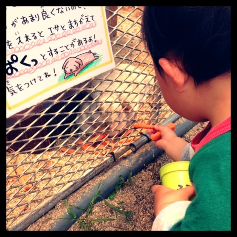 photo:01