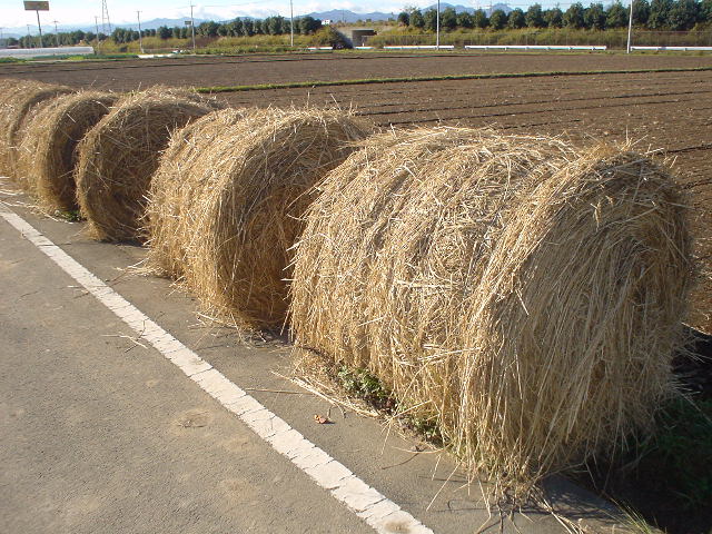 わらロール 奥多野店長の徒然
