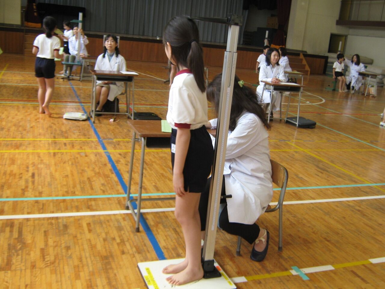 活動歴および当時の関連ビジュアル記録