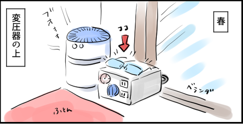 캡처