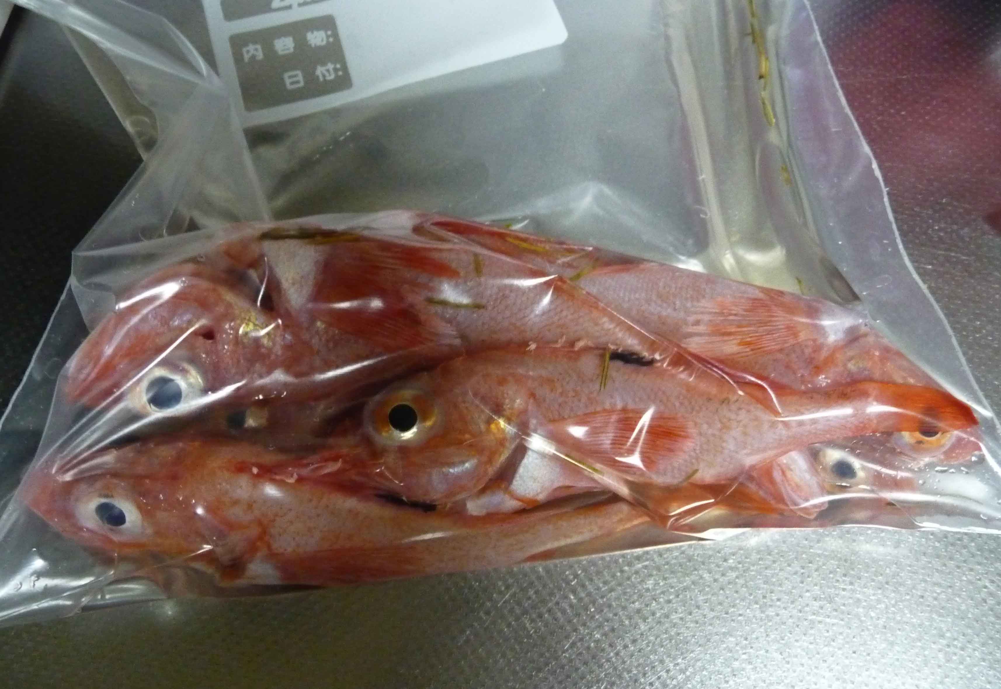 きんきの燻製 S A K U R A