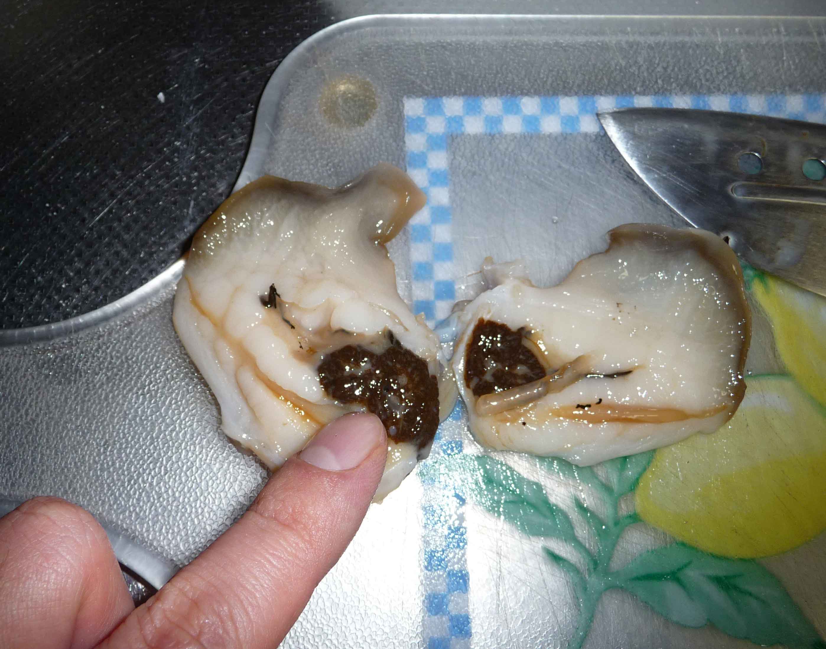 ホッキの燻製改 S A K U R A