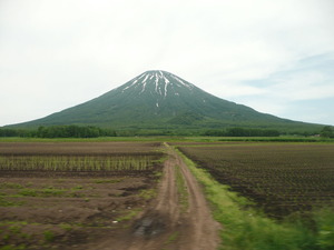 yoteizan