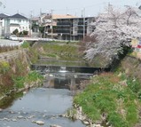 senri-river2