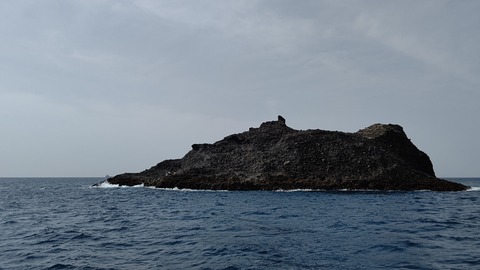 IMG_20210409_153421_897