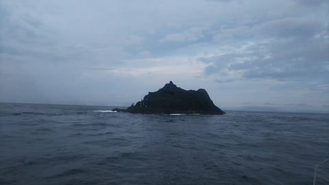 IMG_20191020_174900_271