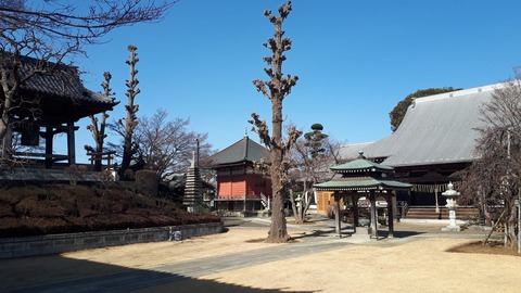 20190221_104802