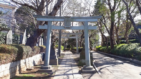 20190221_123147