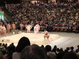 haku0208