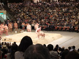 haku0209