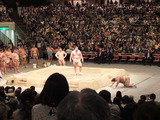 haku0206