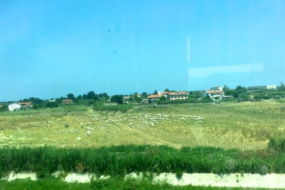 872e5e45.jpg