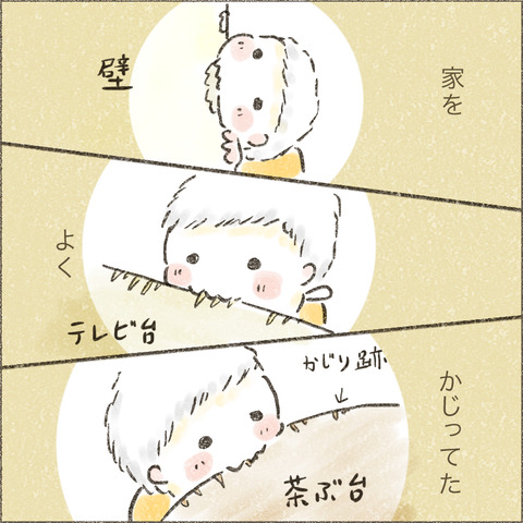 Live20230605_療育が終わる日5_出力_005