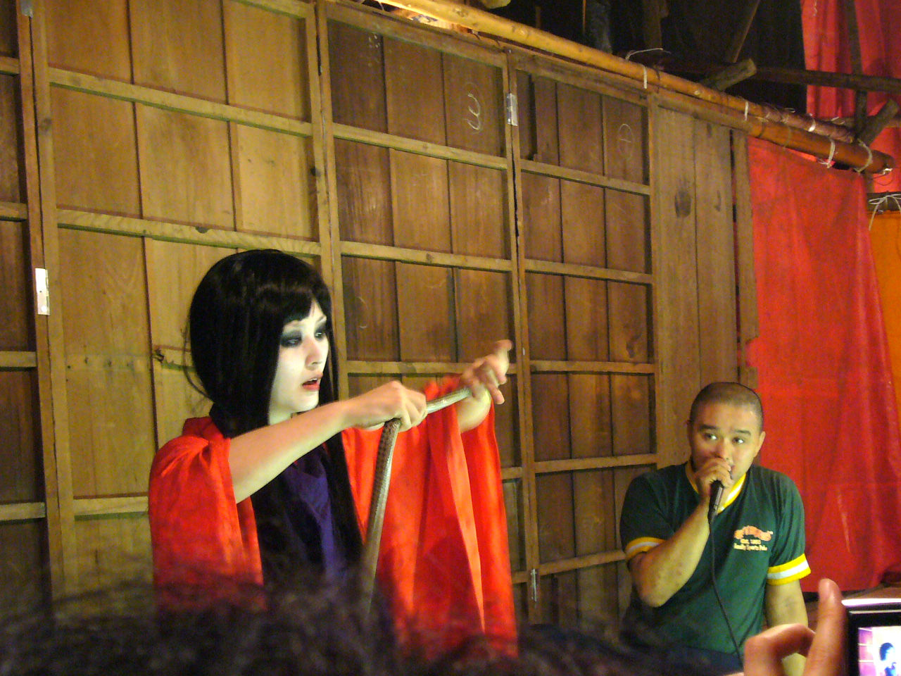 ２０１２年 夏の見世物小屋を追う 靖国神社みたままつり サイタマサバービア ぬけがらにっきiii