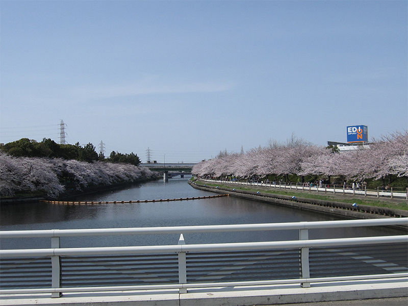 イメージ 1