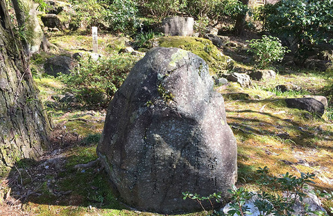c1