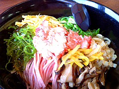 ランチ:冷麺そばアップ@鳴門うどん・久留米・山川